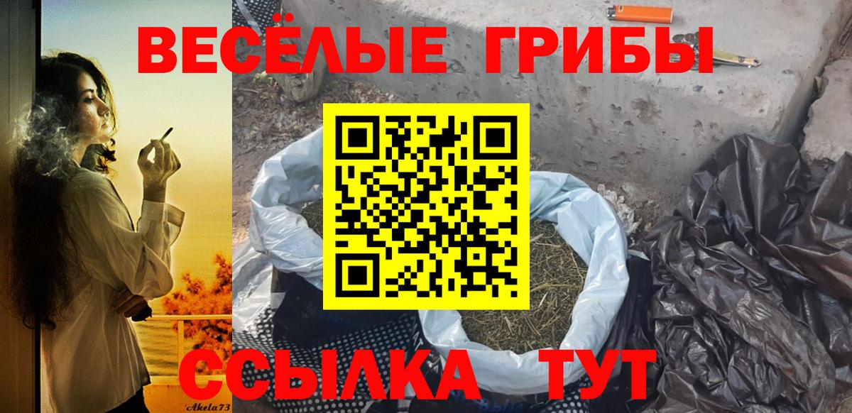 Галлюциногенные грибы Psilocybe  Псилоцибиновые грибы мухоморы  Вход с VPN  Нижний Новгород 