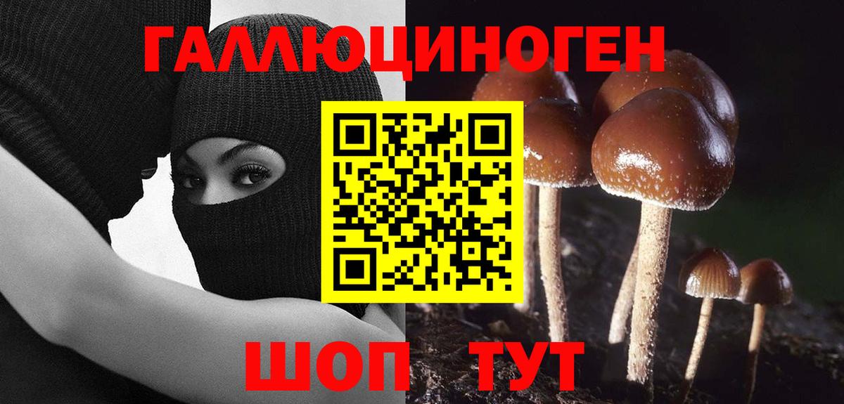 Галлюциногенные грибы мицелий Нижний Новгород